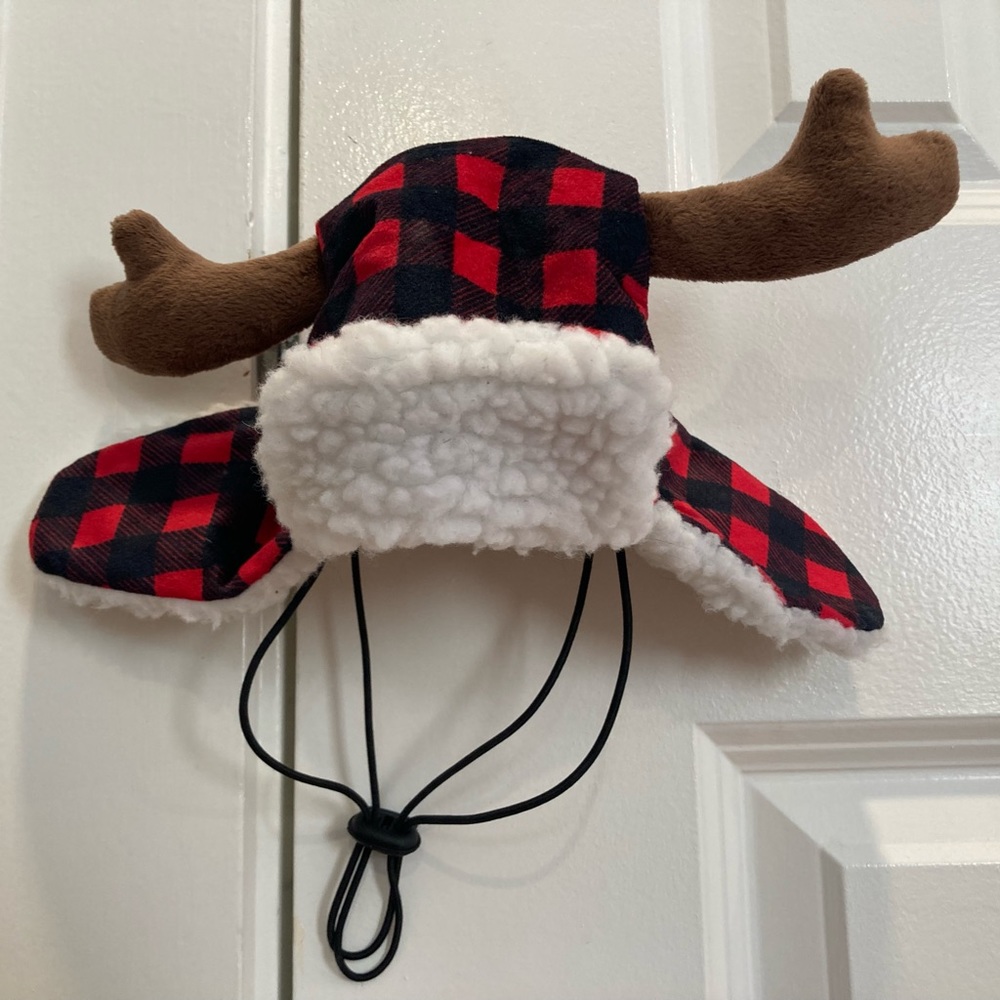Small dog hat